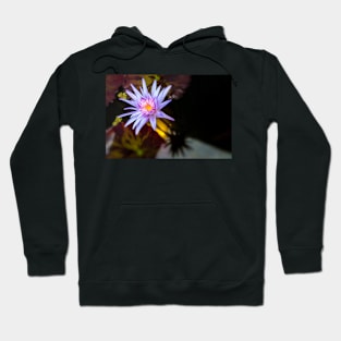 Waterlily 2 Hoodie